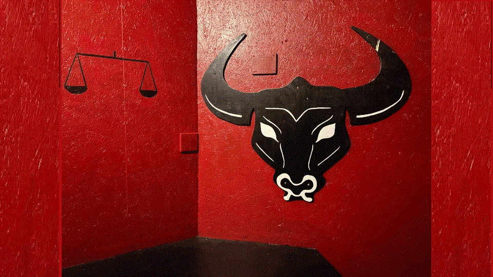 Oxen Rum 2